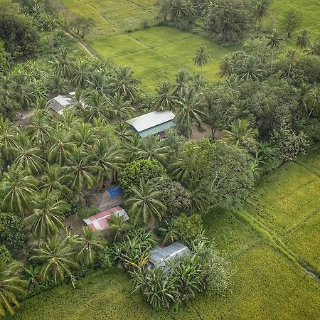 Coconut Park Bed and Breakfast Anuradhapura Exteriör bild