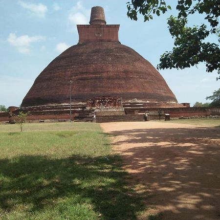 Coconut Park Bed and Breakfast Anuradhapura Exteriör bild