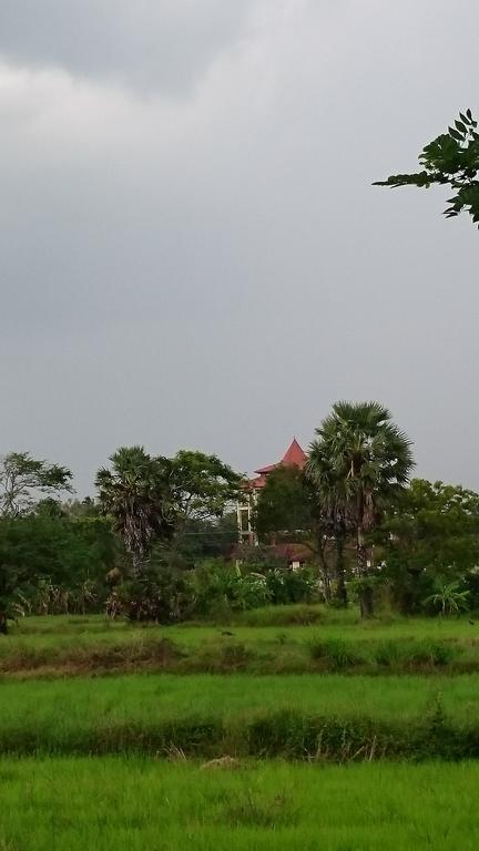 Coconut Park Bed and Breakfast Anuradhapura Exteriör bild