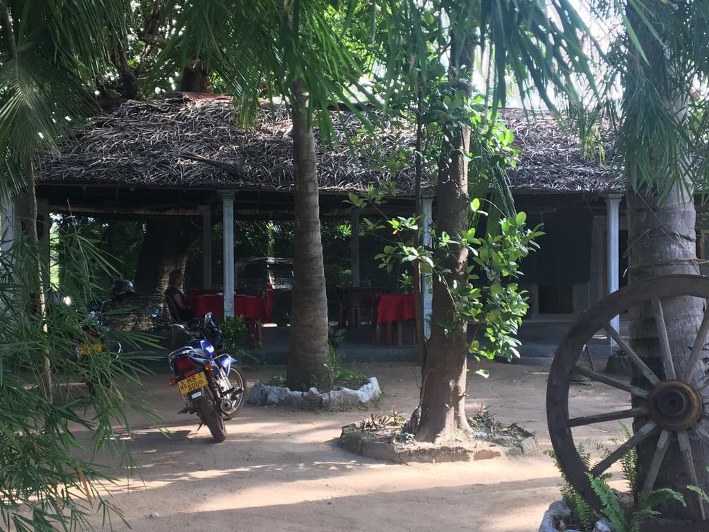 Coconut Park Bed and Breakfast Anuradhapura Exteriör bild