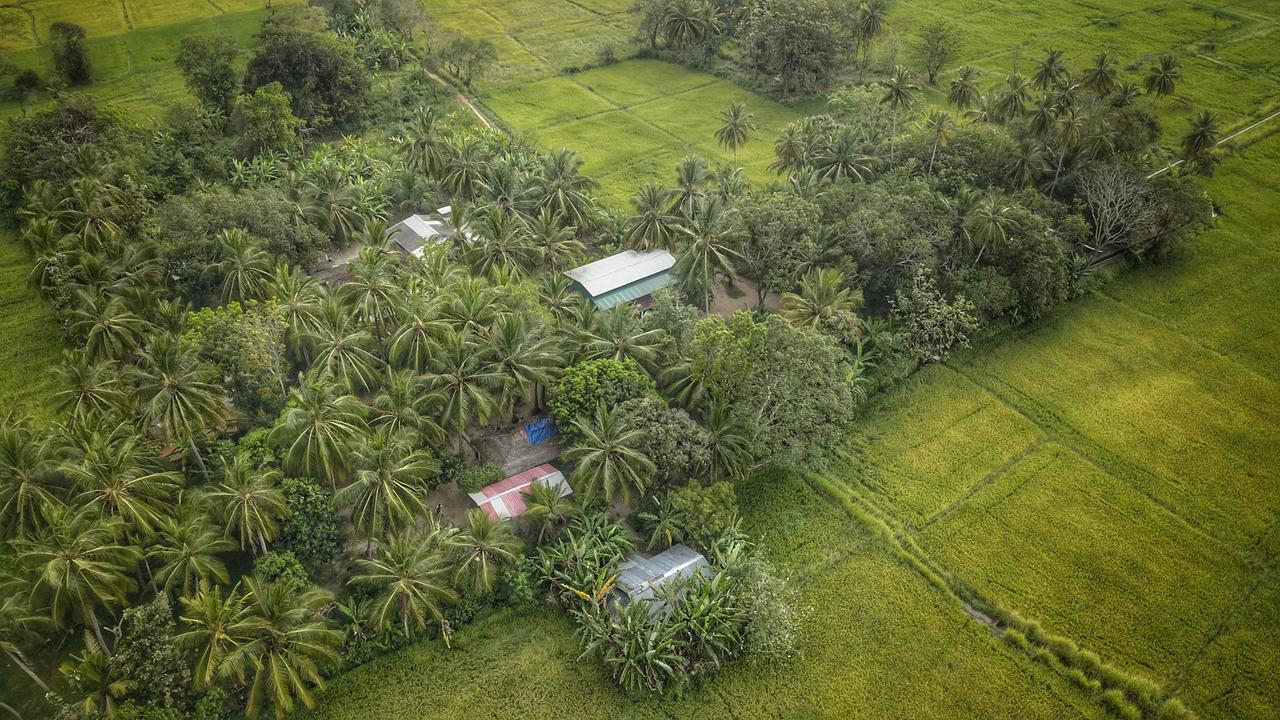 Coconut Park Bed and Breakfast Anuradhapura Exteriör bild