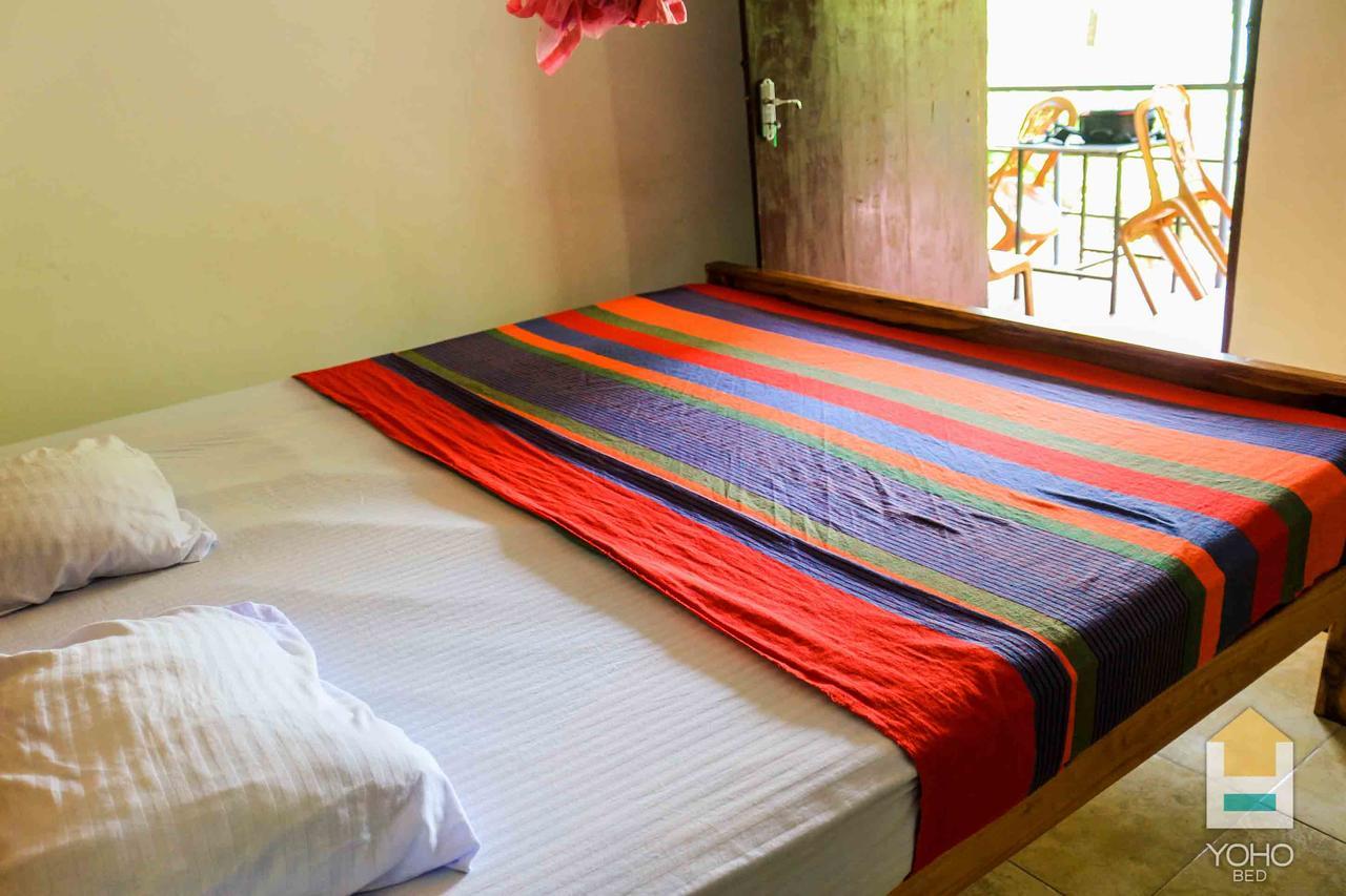 Coconut Park Bed and Breakfast Anuradhapura Exteriör bild